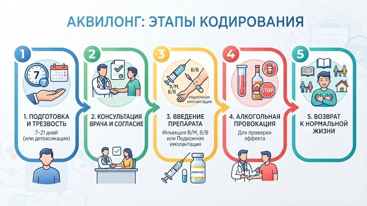 Инфографика «Аквилонг: этапы кодирования».